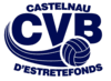 Logo du Castelnau Volley-Ball